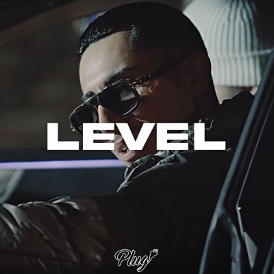 Level