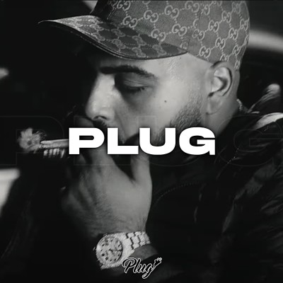 Plug
